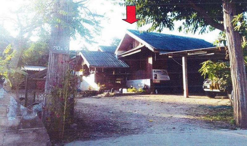 ตะเคียนปม ทุ่งหัวช้าง ลำพูน